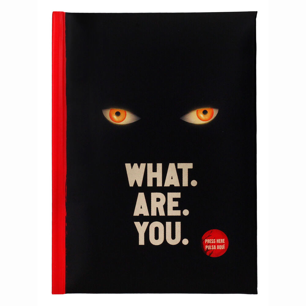 what are you it  notebook: welcome to derry