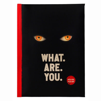 what are you it  notebook: welcome to derry