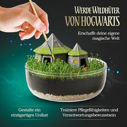 Harry Potter Terrarium