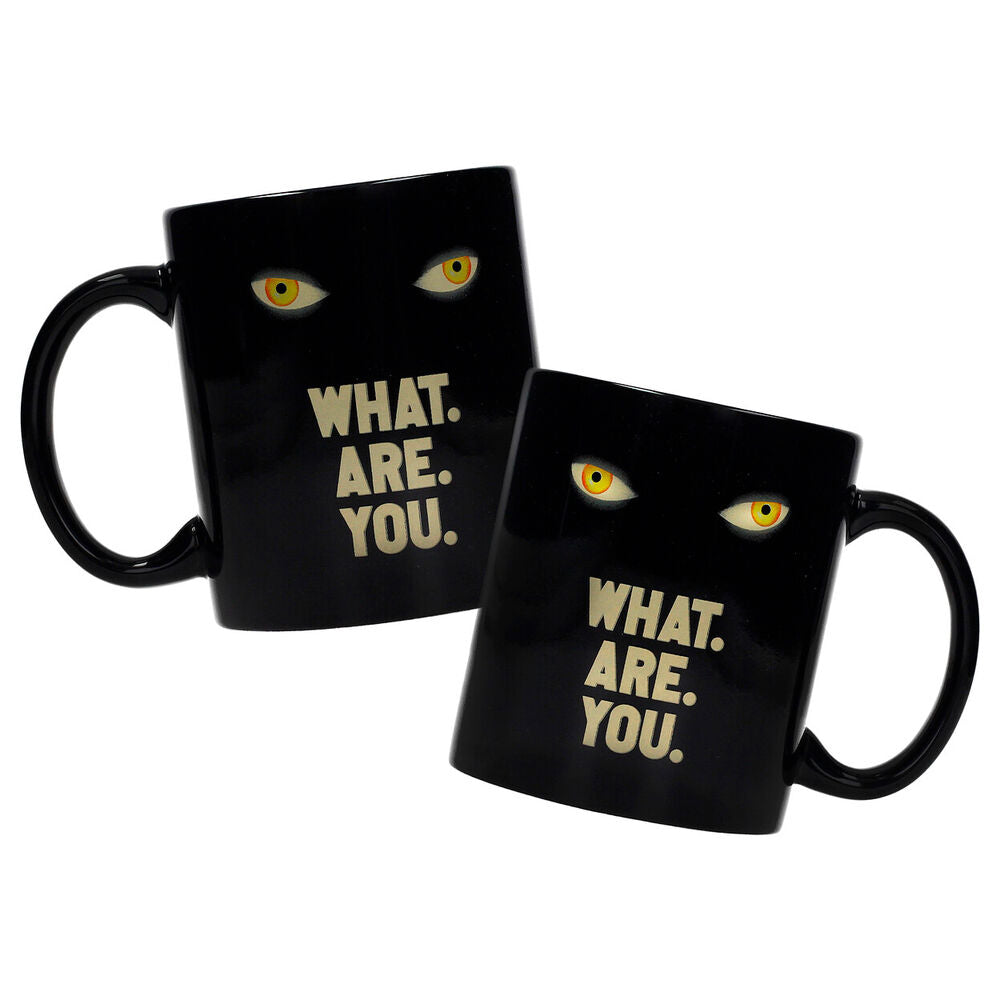 what are you welcome to derry it mug