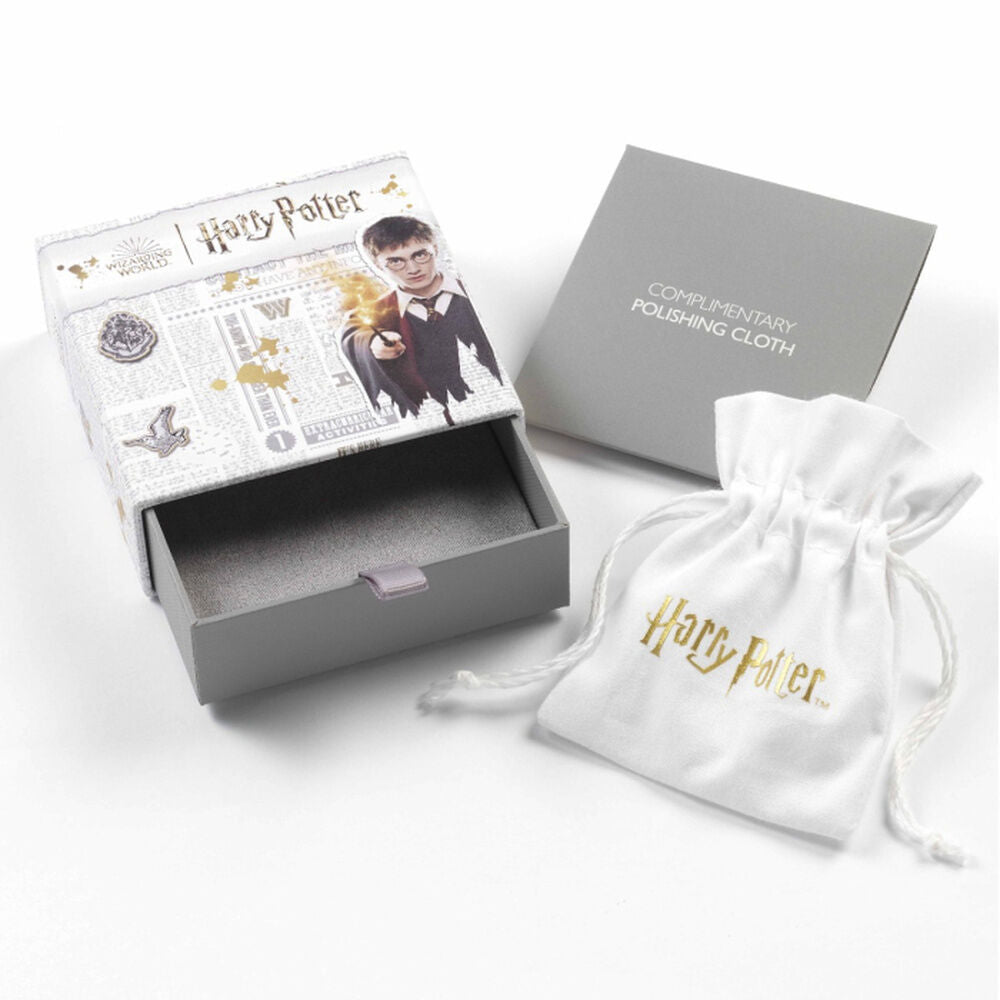 Harry Potter Silver Headband Earrings
