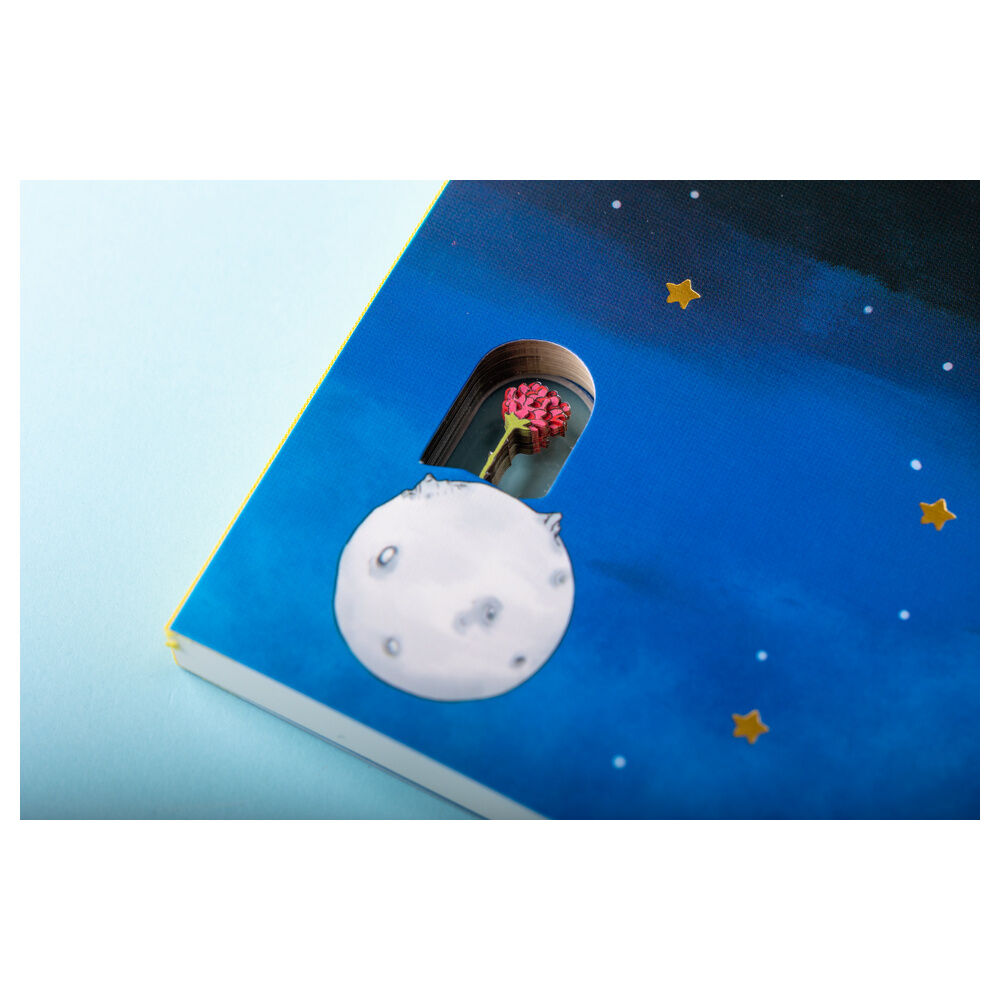 A5 notebook The Little Prince