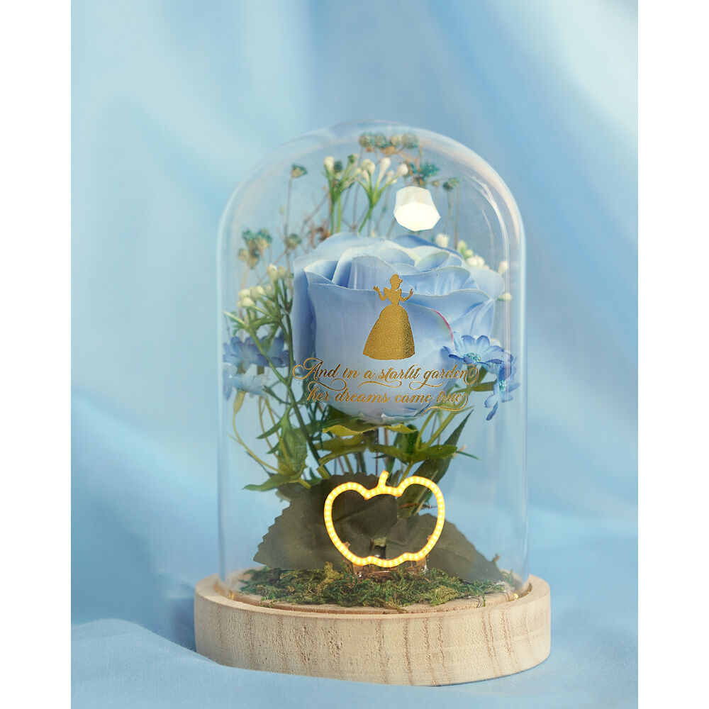 Cinderela de Bellflower Princesas da Disney