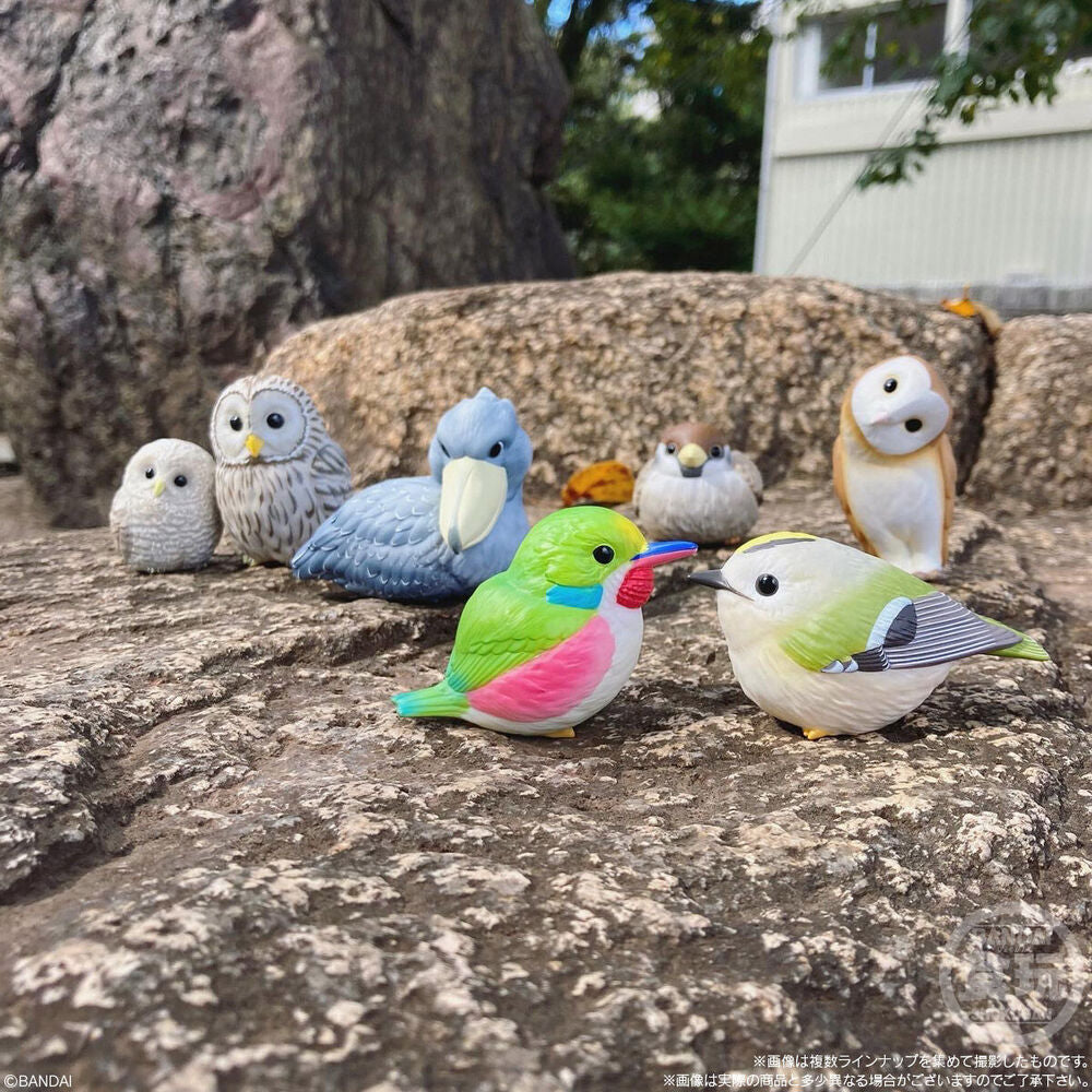 Tenori Freunde Vögel Figuren 6cm Sortiert
