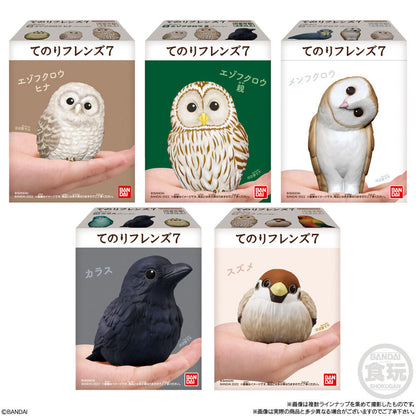 Tenori Freunde Vögel Figuren 6cm Sortiert