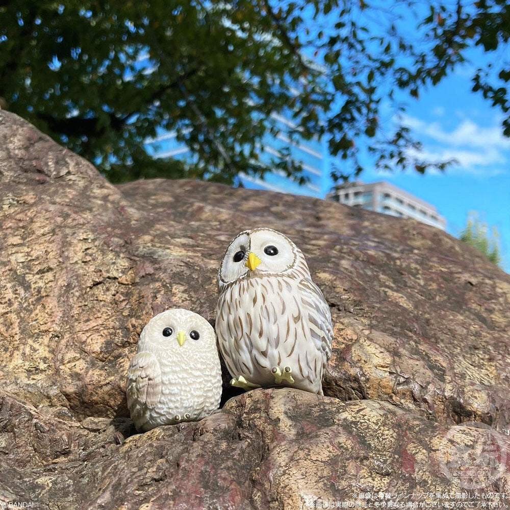 Tenori Freunde Vögel Figuren 6cm Sortiert