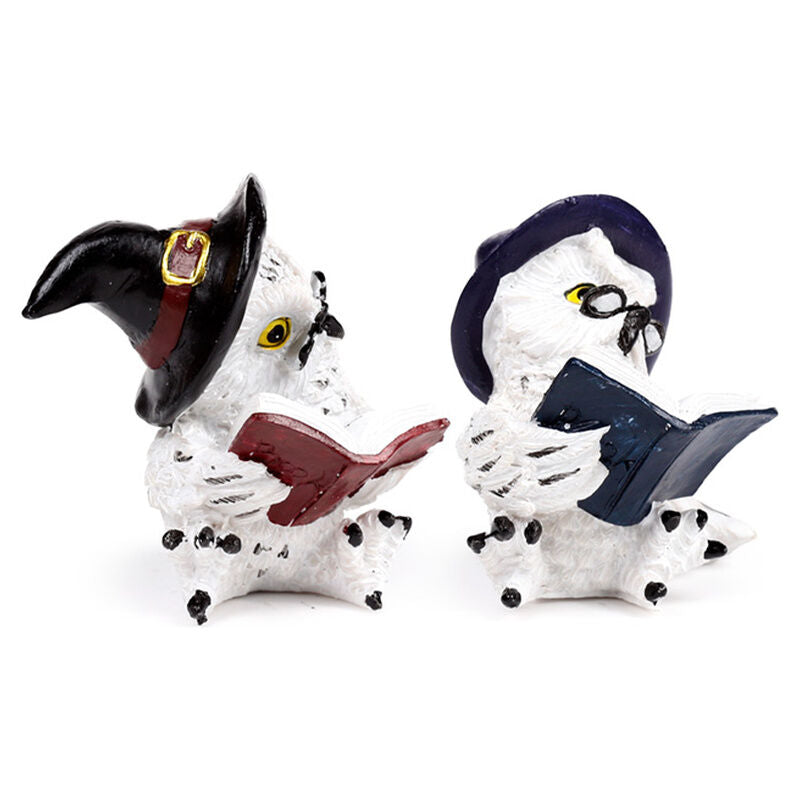 Magical Owl Wise Figure (Assorted)
