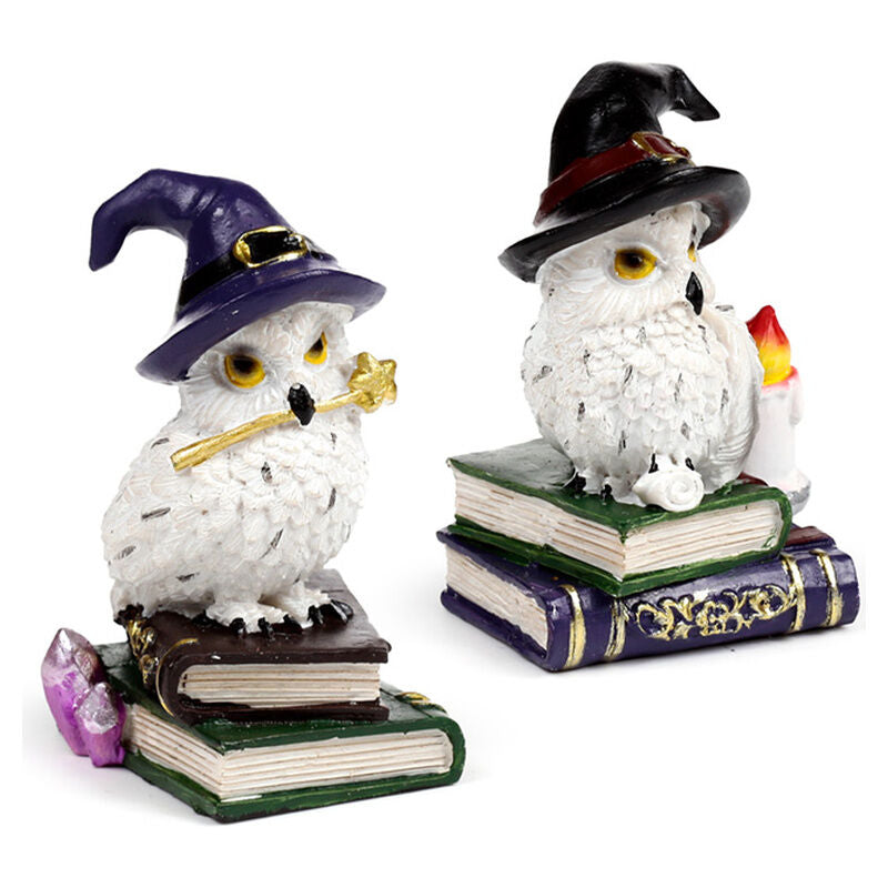 Magical Owl Wise Figure (Assorted)
