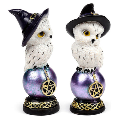 Figura mágica da Coruja Sábia (variadas)