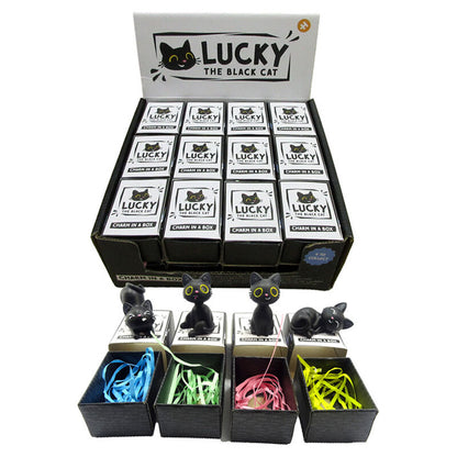 assorted black cat boxed amulet