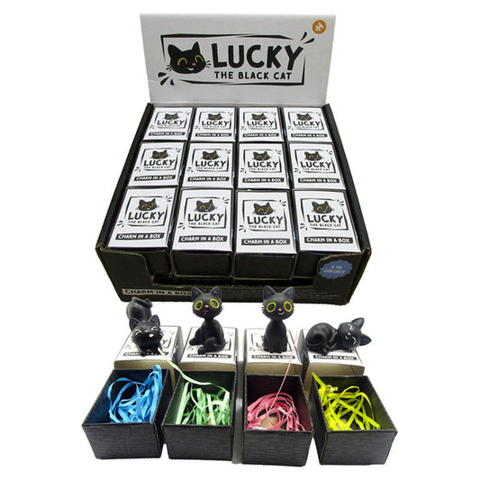 assorted black cat boxed amulet