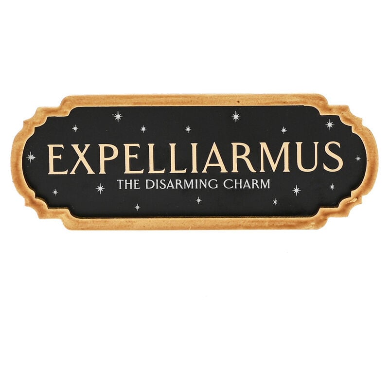 Harry Potter Expelliarmus Poster