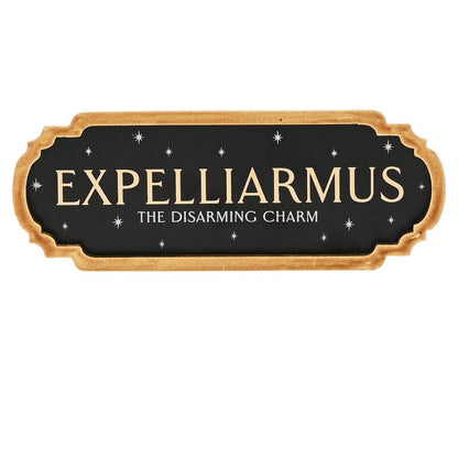 Harry Potter Expelliarmus Poster