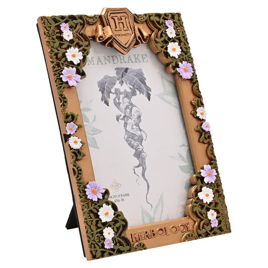 photo frame herbology harry potter