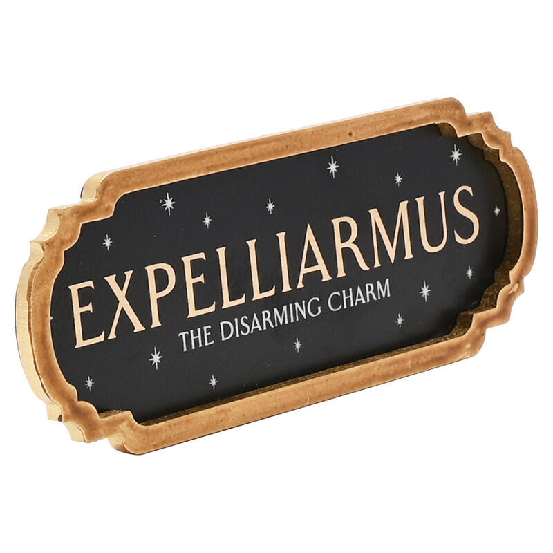 Harry Potter Expelliarmus Poster