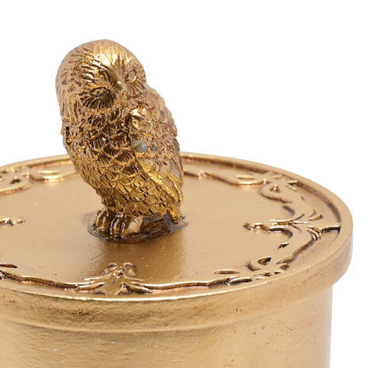 Caixa de joias Hedwig de Harry Potter
