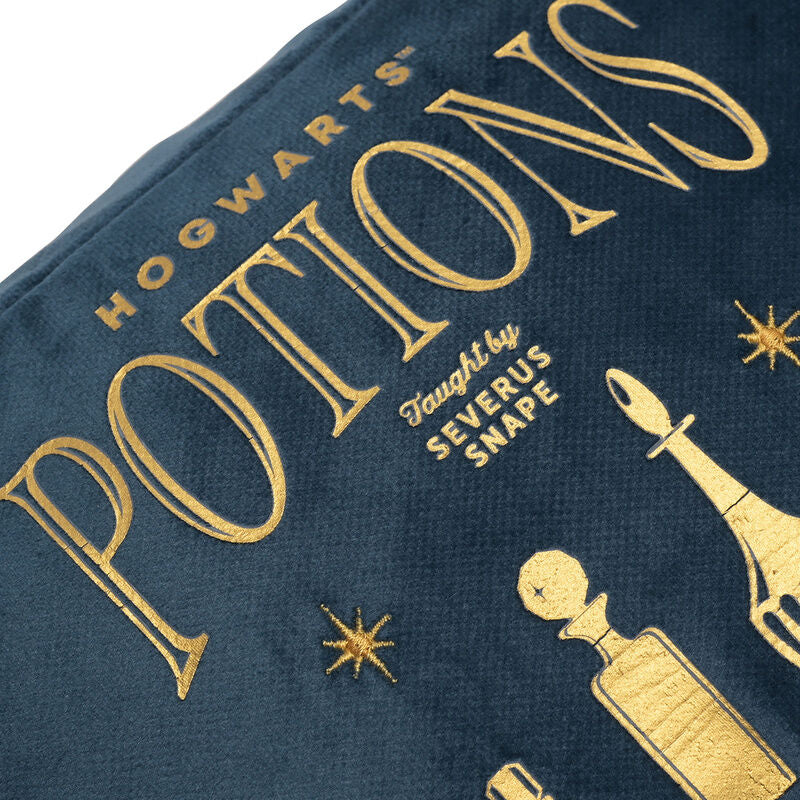Harry Potter Potions Toiletry Bag