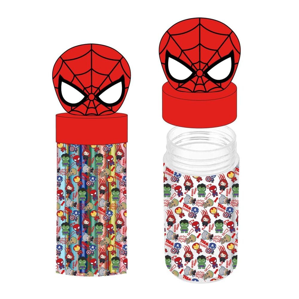 Avengers Marvel Pencil Case