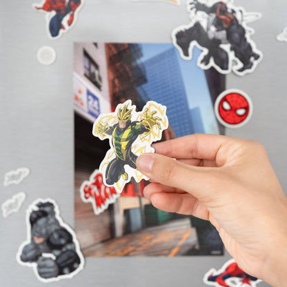 Spiderman Marvel Stanzmagnet Set