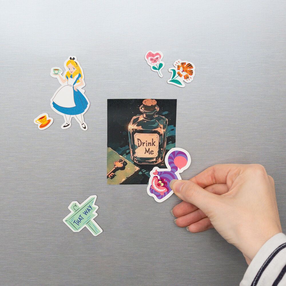 Disney Alice in Wonderland Die Cut Magnet Set