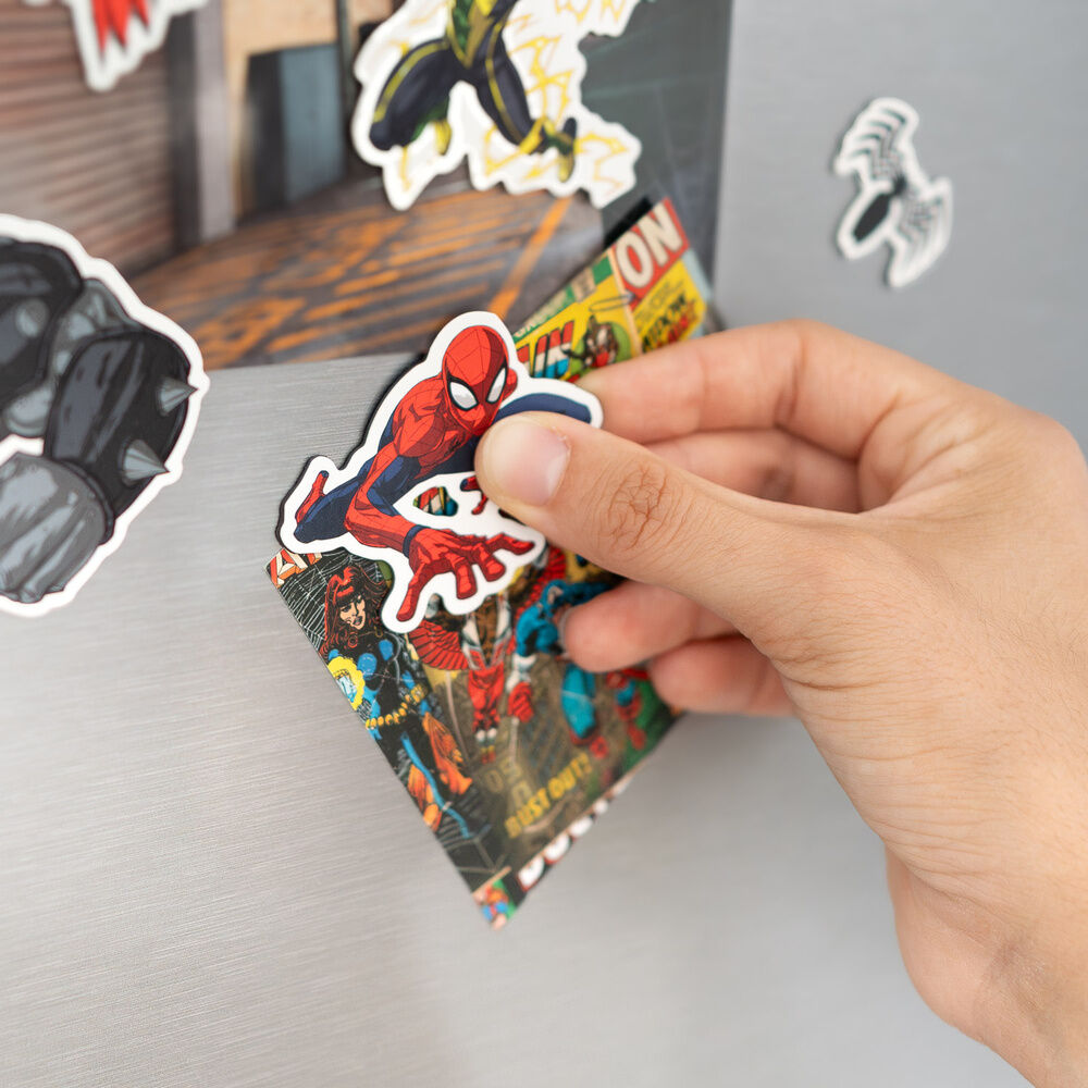 Spiderman Marvel Stanzmagnet Set
