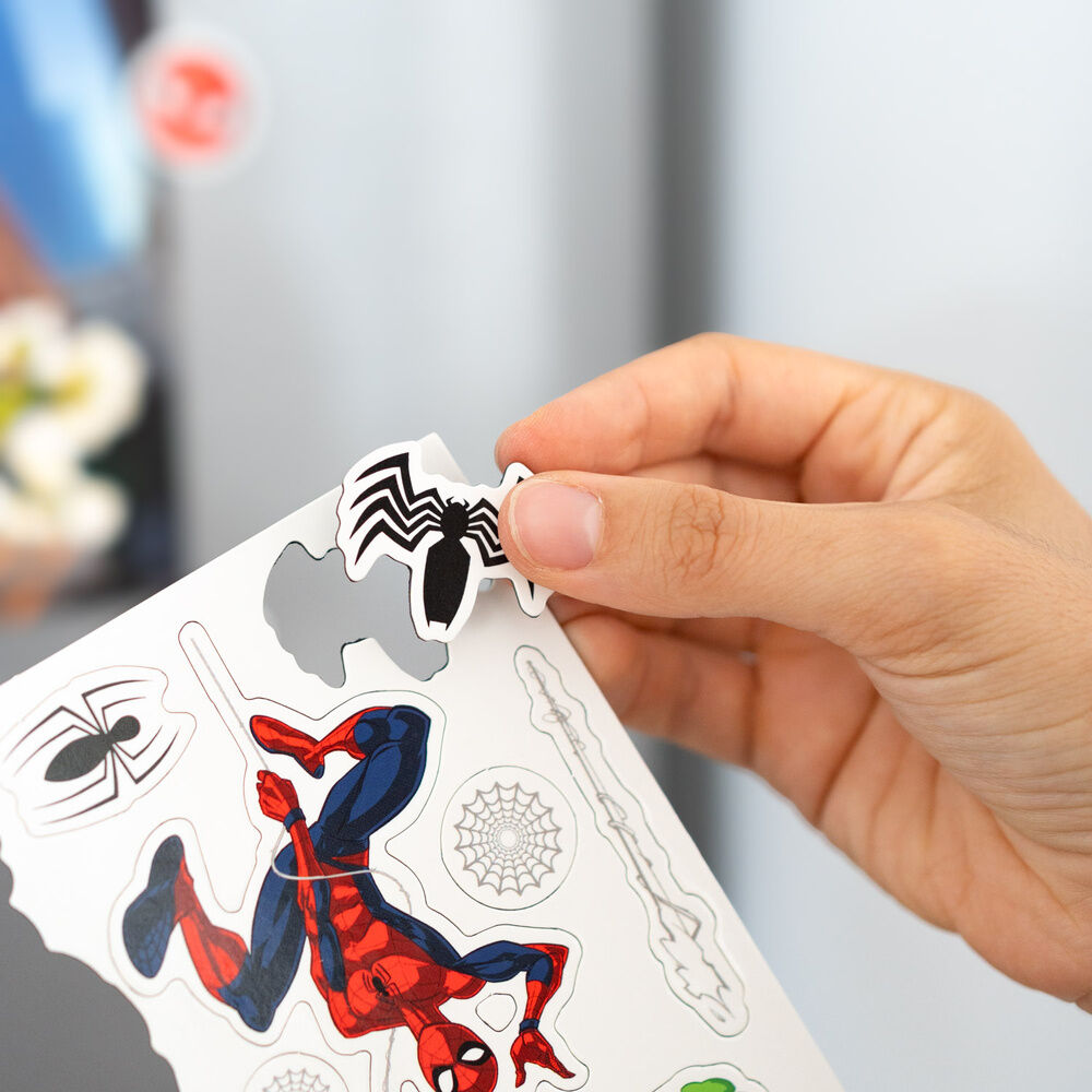Spiderman Marvel Stanzmagnet Set