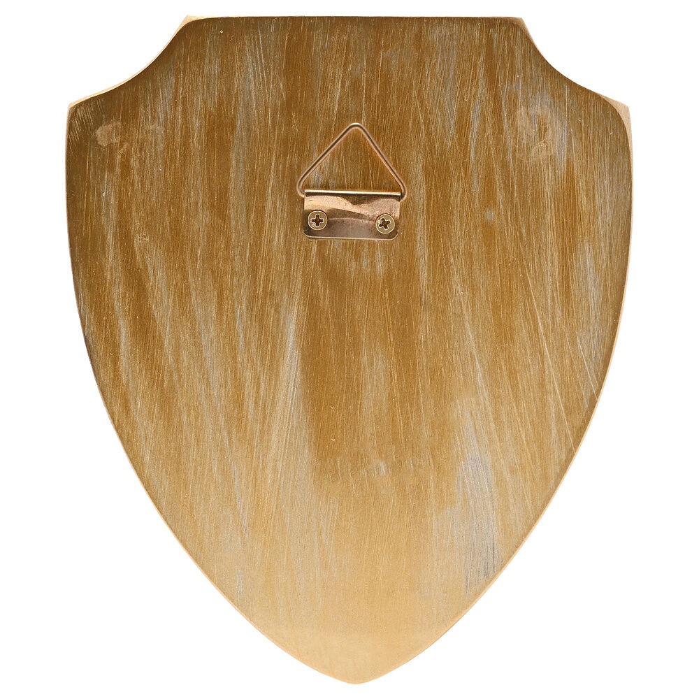Hogwarts Harry Potter 3D wall shield