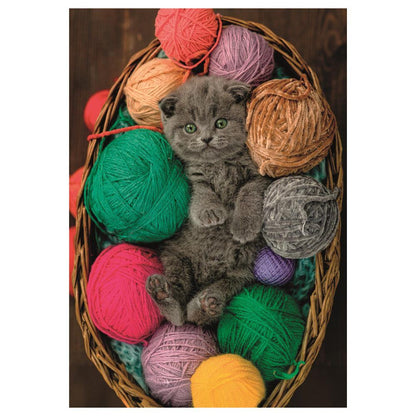 Puzzle di gattini soffici 500 pezzi