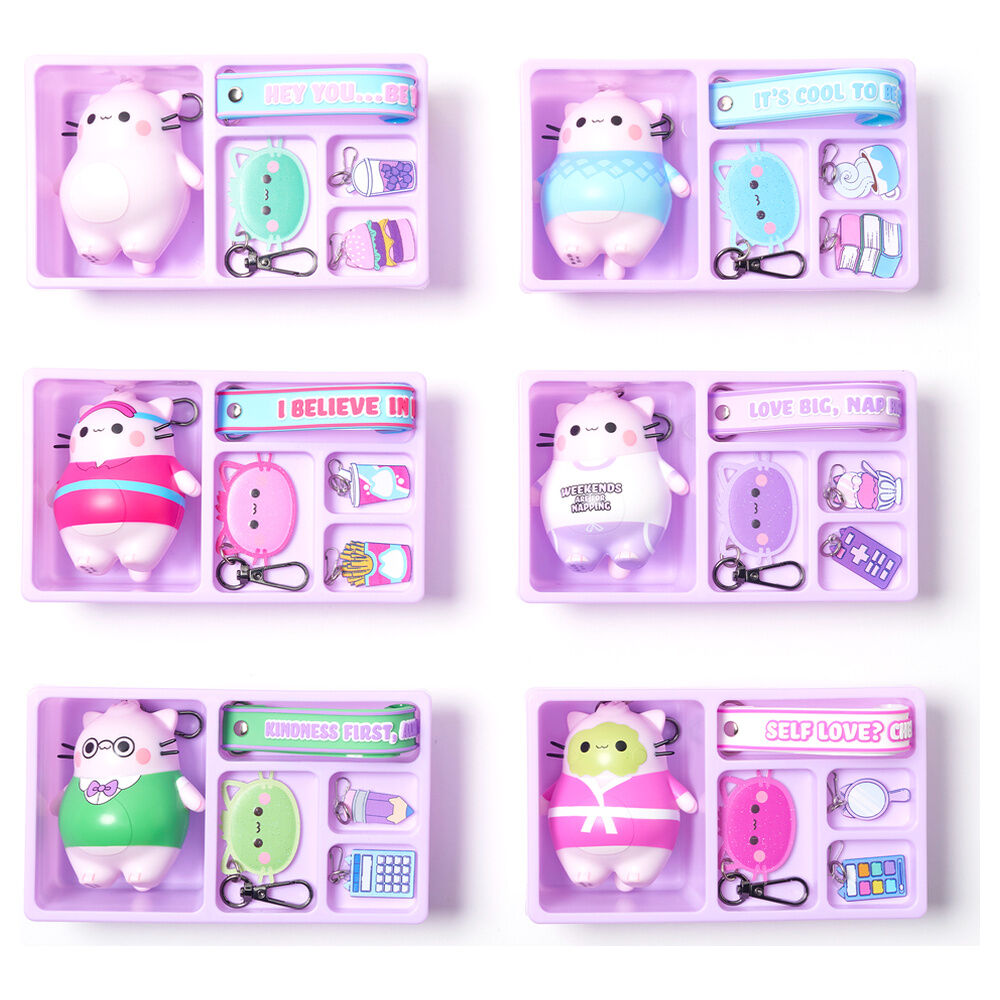 mystery box keyring pembe assortment