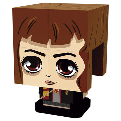 Cubes assortis Harry Potter de Qubi