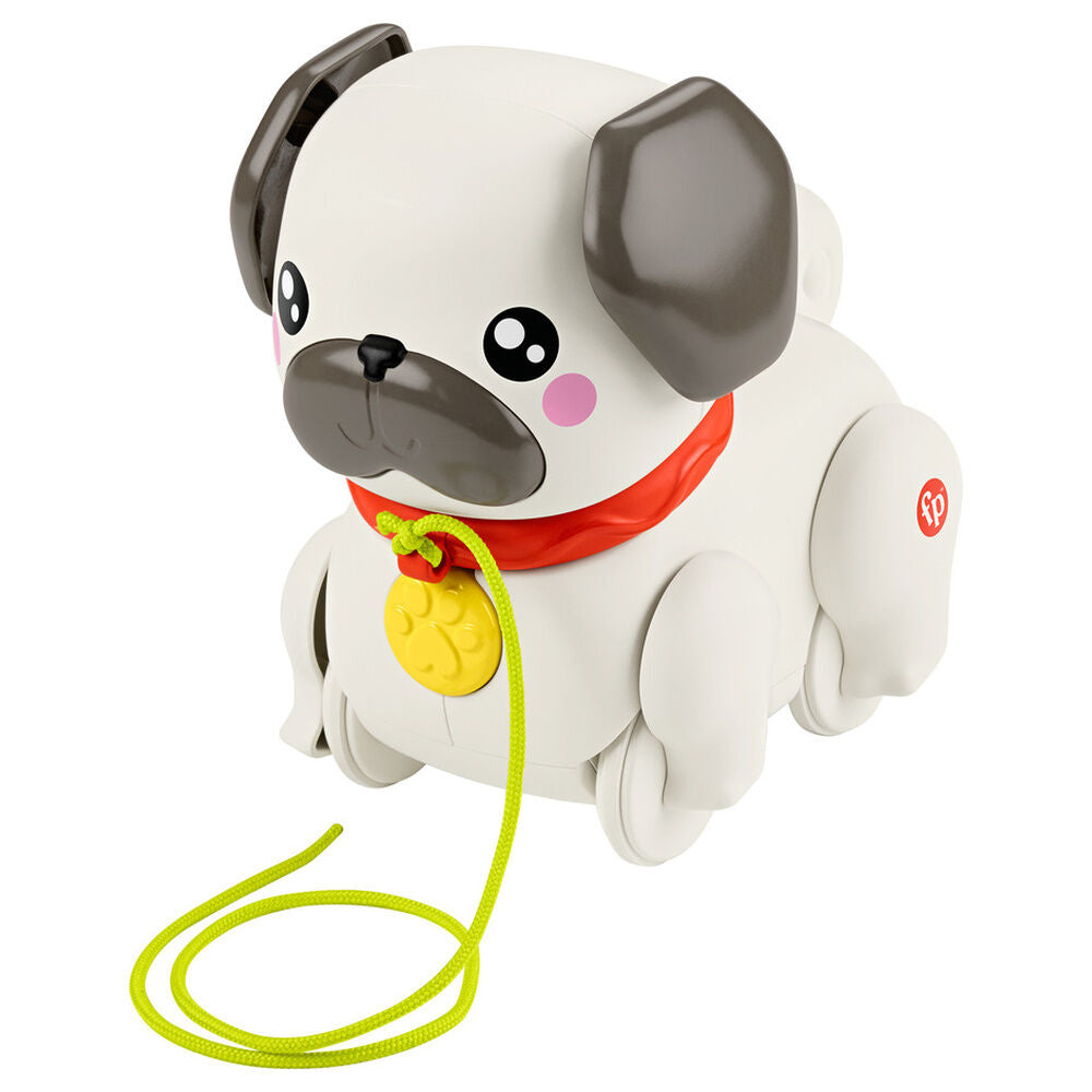 take the pug dog for a walk