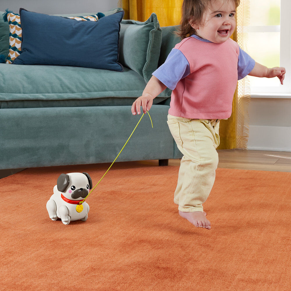 Leve o Pug para passear