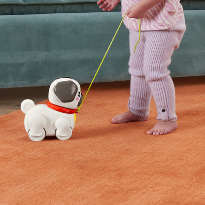Leve o Pug para passear