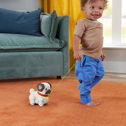 Leve o Pug para passear