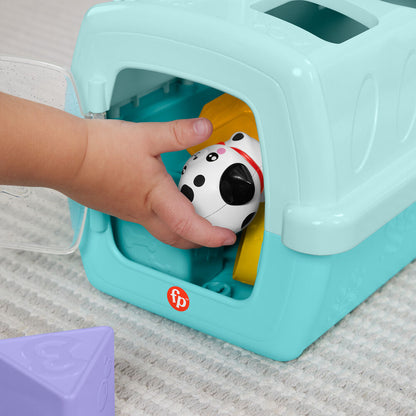 Transporteurs pour animaux de compagnie : tri et stockage