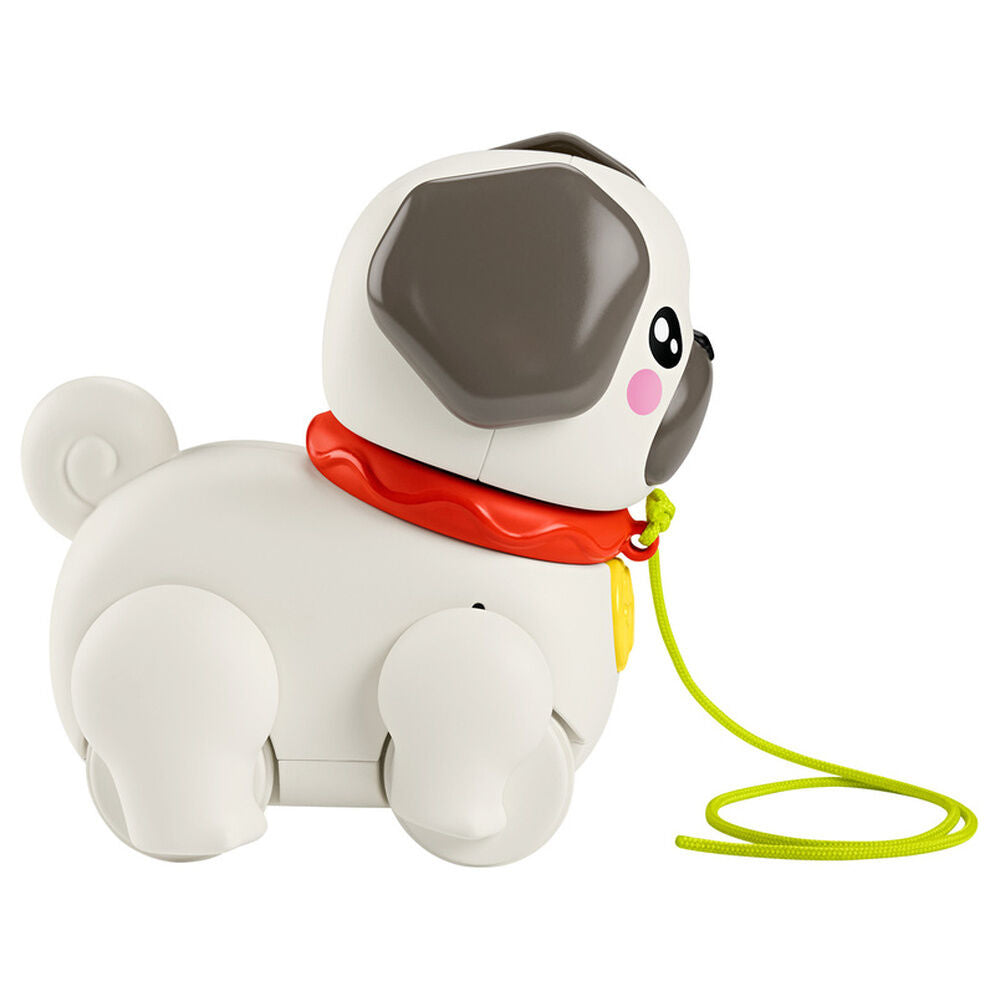 Leve o Pug para passear