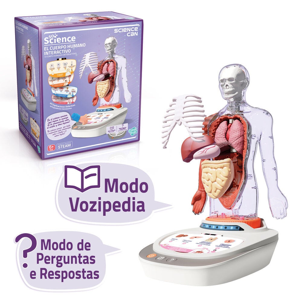 Interactive anatomical model of the human body (Science)