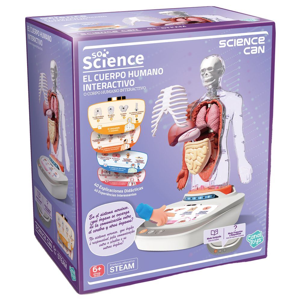 Interactive anatomical model of the human body (Science)