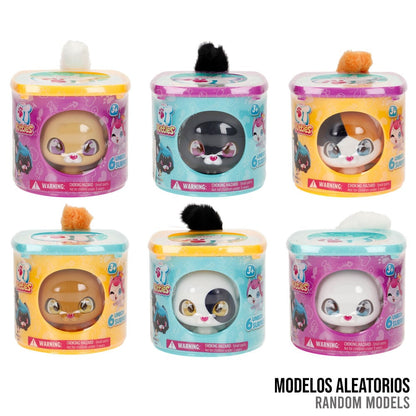 Assorted Kitties Kitten Toy