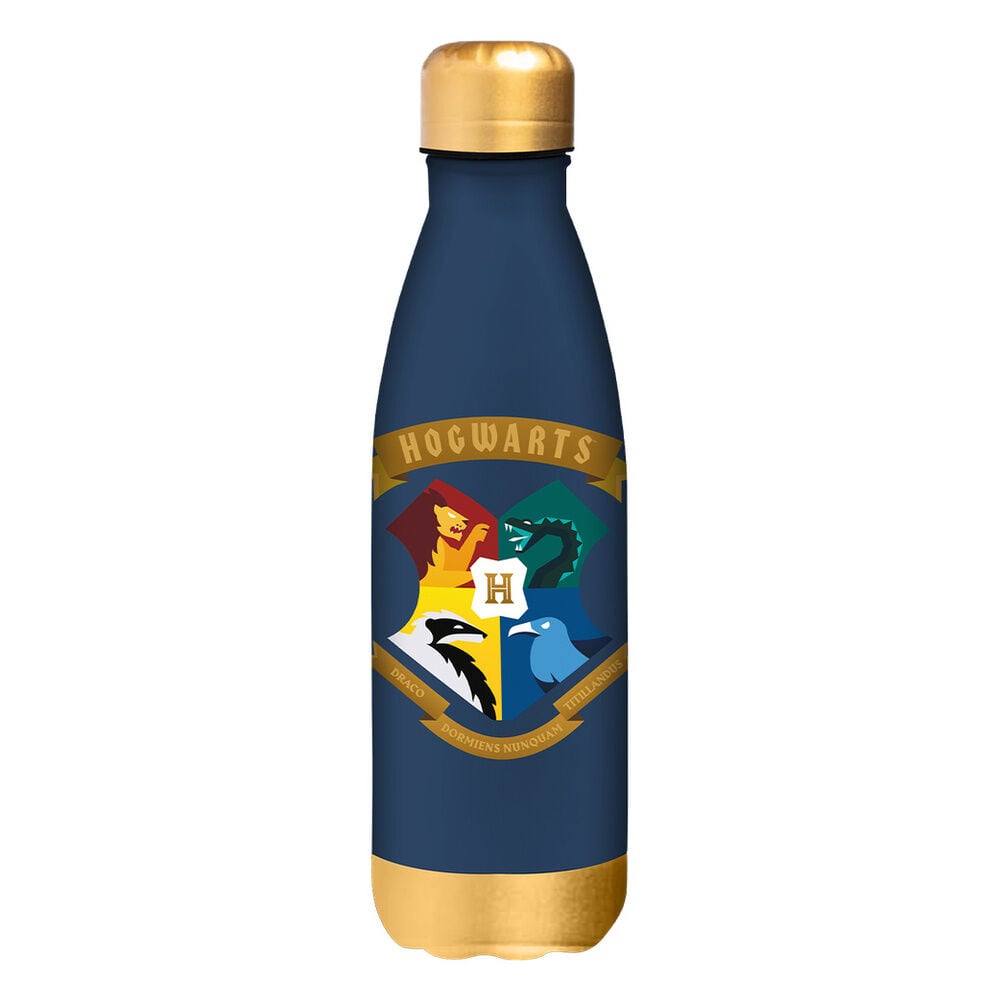 Harry Potter 500ml Stainless Steel Bottle