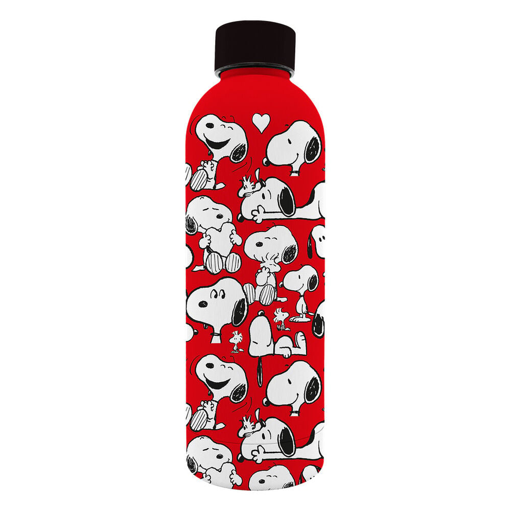 Snoopy Peanuts Soft Stainless Steel Bottle 800ml