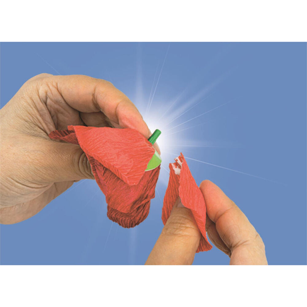 Poppy flower creator Create your Flowers Idea