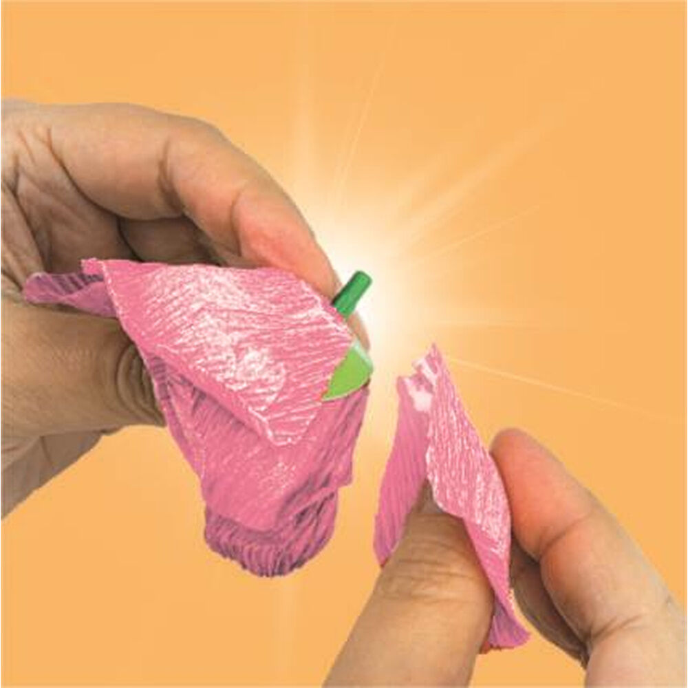 Anemona flower creator Create your Flowers Idea