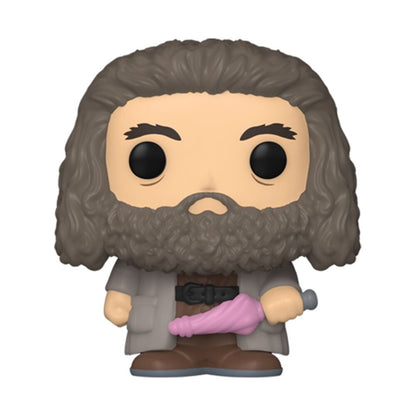 Blister 2 figures Bitty POP Harry Potter Hagrid & Dobby