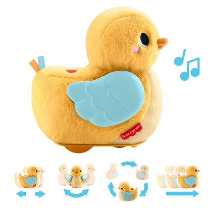 Little duck runs and flaps its wings