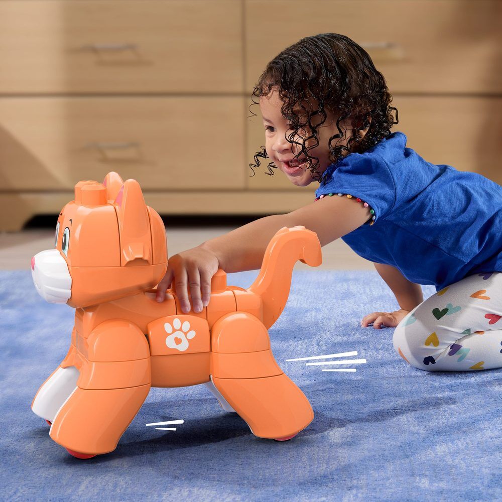 Skater cat MEGA Bloks building blocks