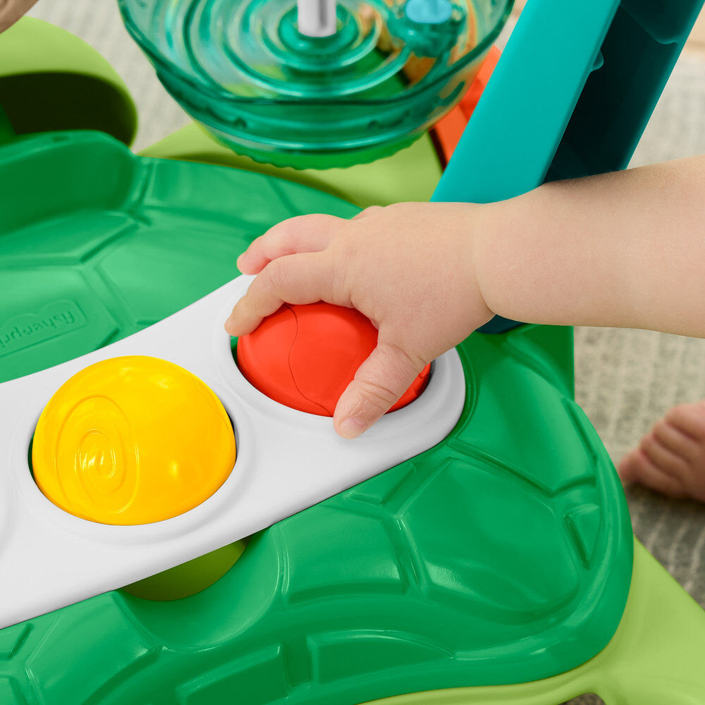 Laugh and Learn Turtle Ride-On Walker