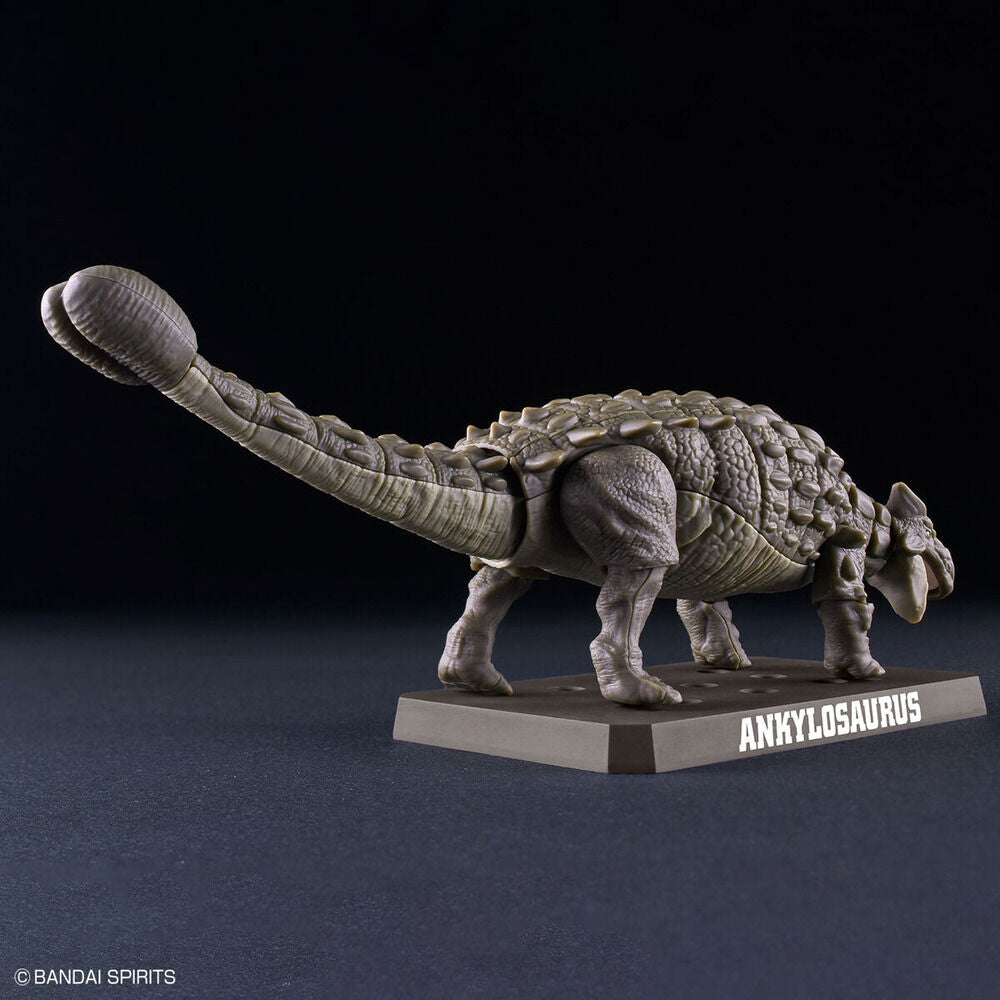 Planosaurus Ankylosaurus model