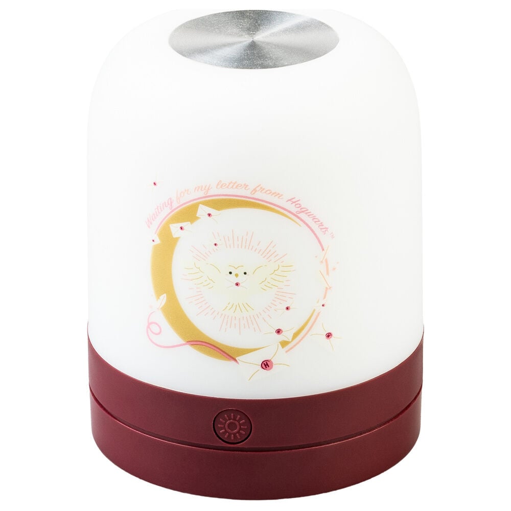 Hedwig Harry Potter atmosphere lamp