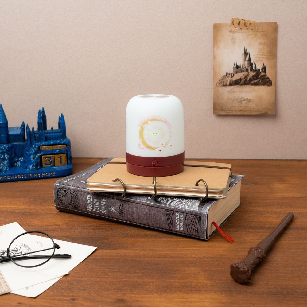 Hedwig Harry Potter atmosphere lamp